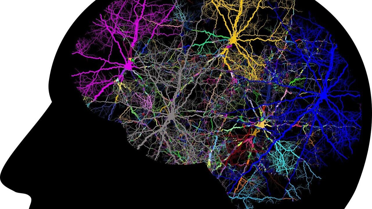 3c6379cdac92df76509e9d3444fa5b43543fc9f1