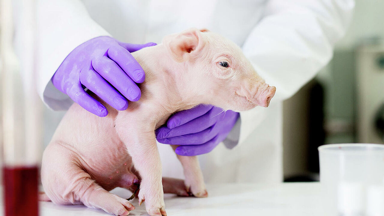 9986d86a16ddfe7f937628da7d2de35d210df99a