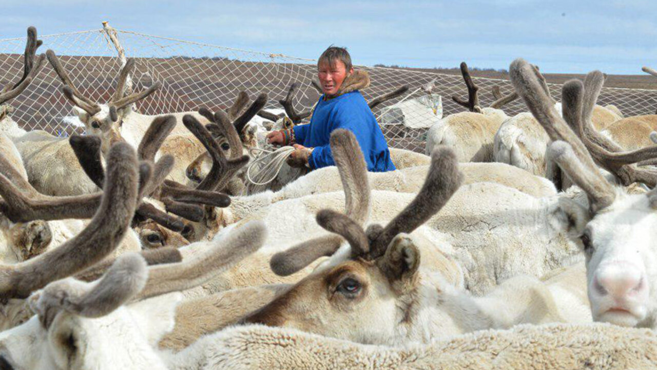 98c66506c865bff617d2641275e93246a10b7b4b