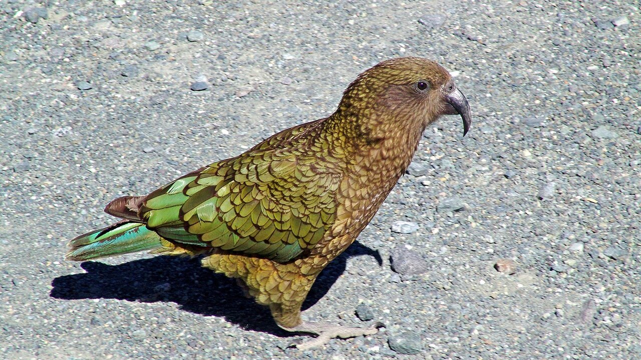 4c33c14be129c6d8218d1aa4344f6b62ca70a9ad