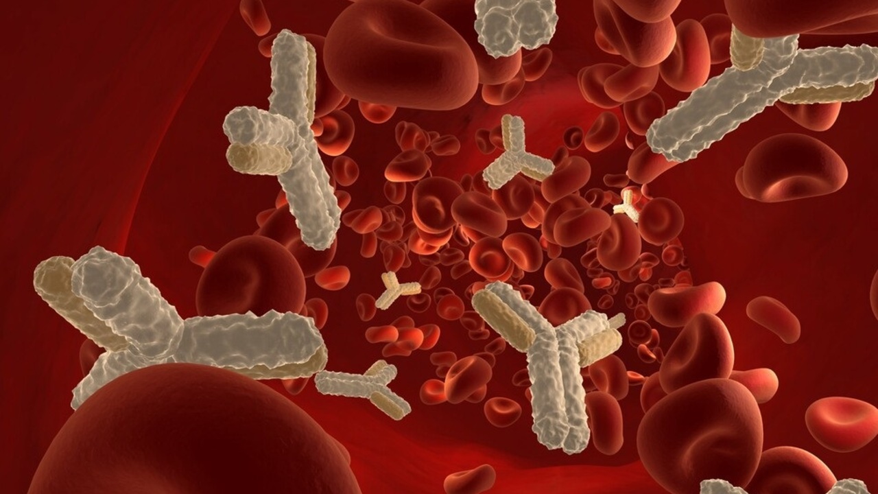 023869bd64309bbbefee678d7cbd514b846cad3a