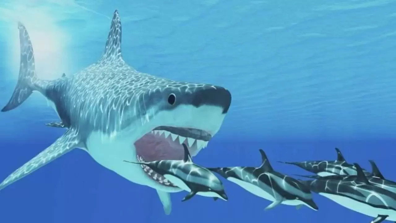 a6abd8b527b8efd5cba934f29228a3e6591d9eaa