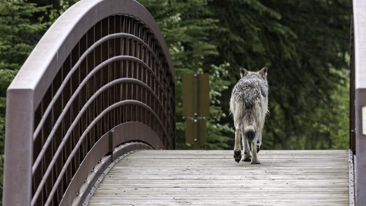 2d7311b11190cdb13cc27044bade83da96cd75e8