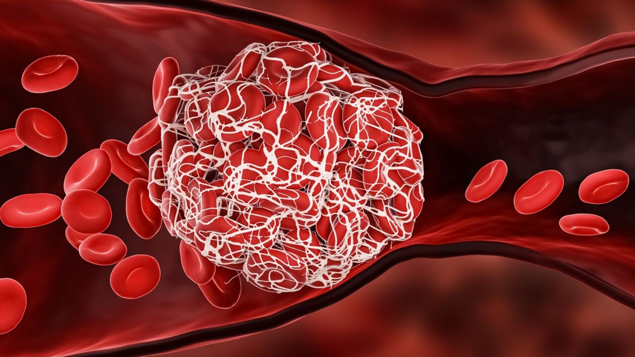 e25f86c5facd516ed727d250675a9f5e7ec244ba