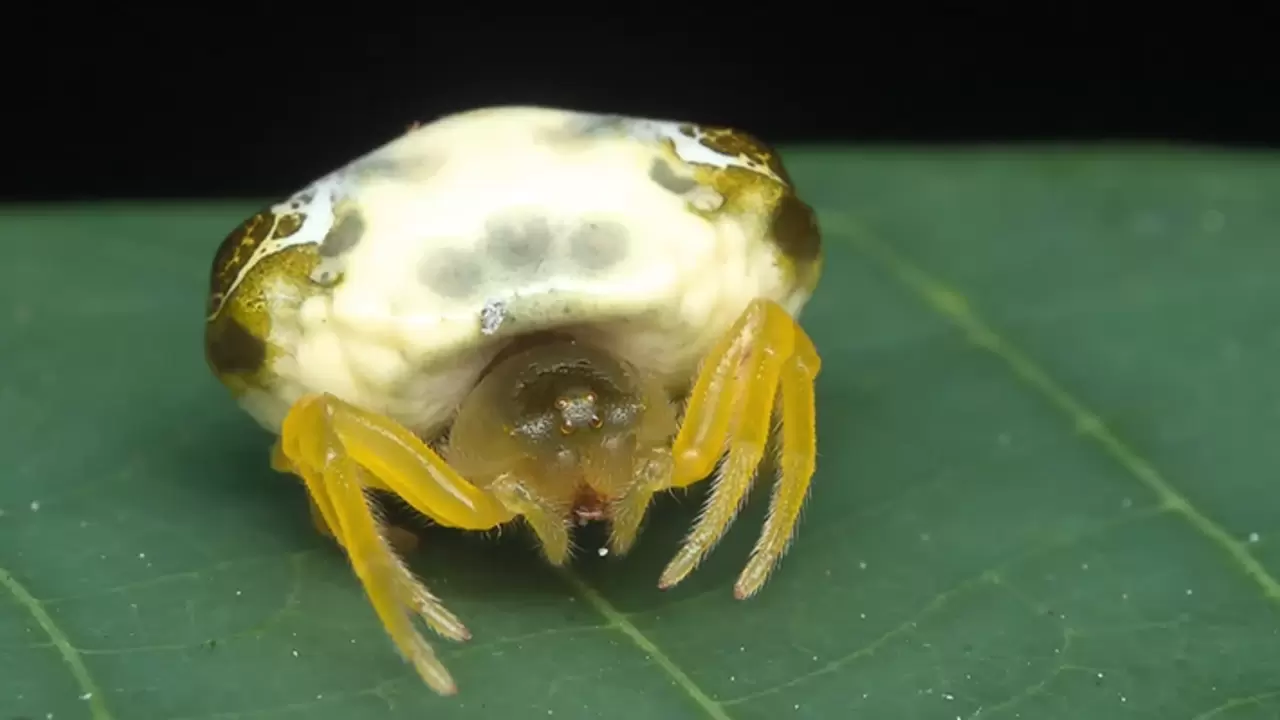 99b91b690987193a65a8274bd280b622560bf479