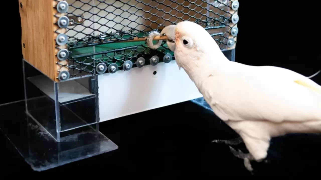 f7961634b2d772c7923a59f1dd056ece1455676c