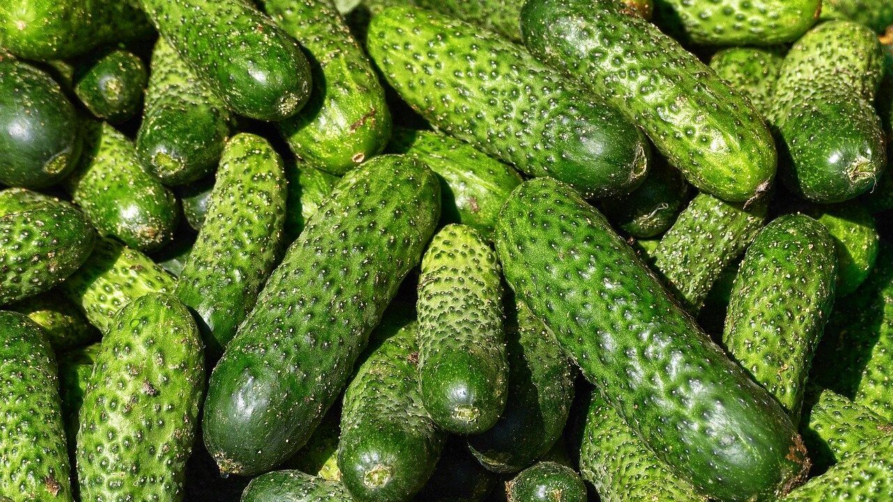 15878826b0c6237f77ed52fb5d15cb301dd23b46