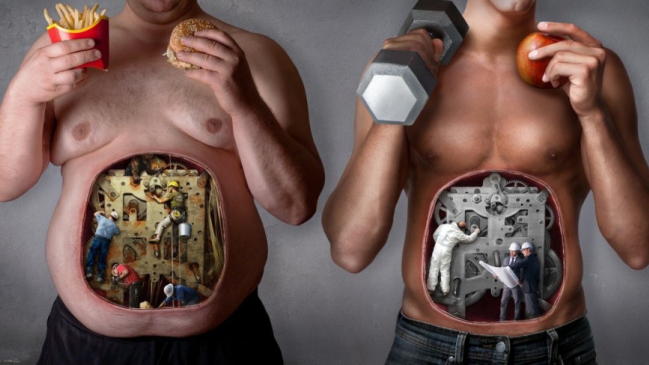 cd2c2ad39529a0a4b32f19e24b902bf26bfc4850