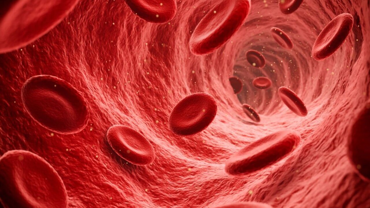 9d8af0326249b34253264624675553d1a09b35c8