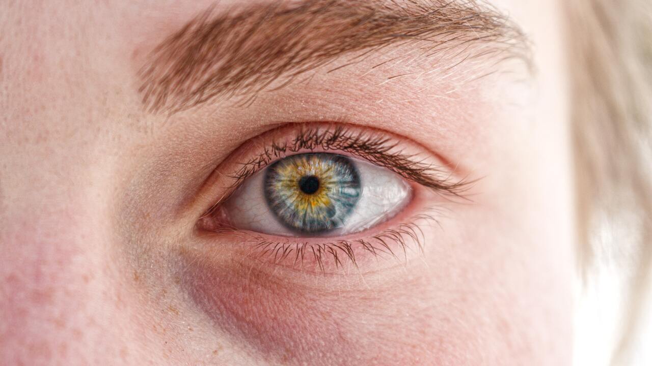 e044e7d50d994e9c6fb2f927a9d868ad9d24acb4