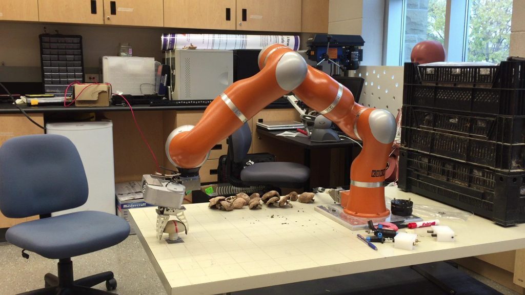 С таким и в лес можно: инженер создал робота-грибника