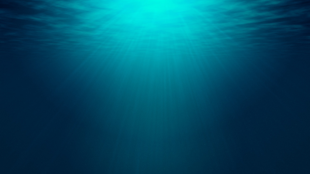 c433ca571795a68d79a8697e9c81a30778355f09