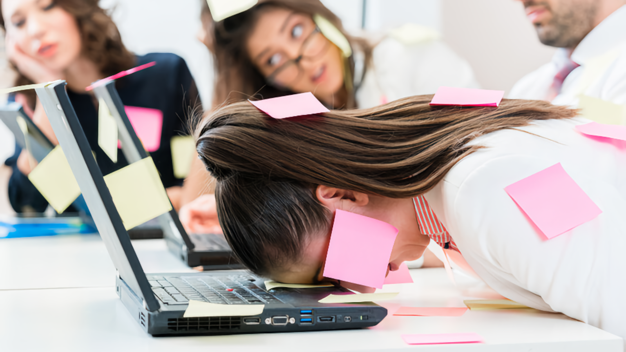 e551599f4ed306a96df9f9e931554fea7dcd2739