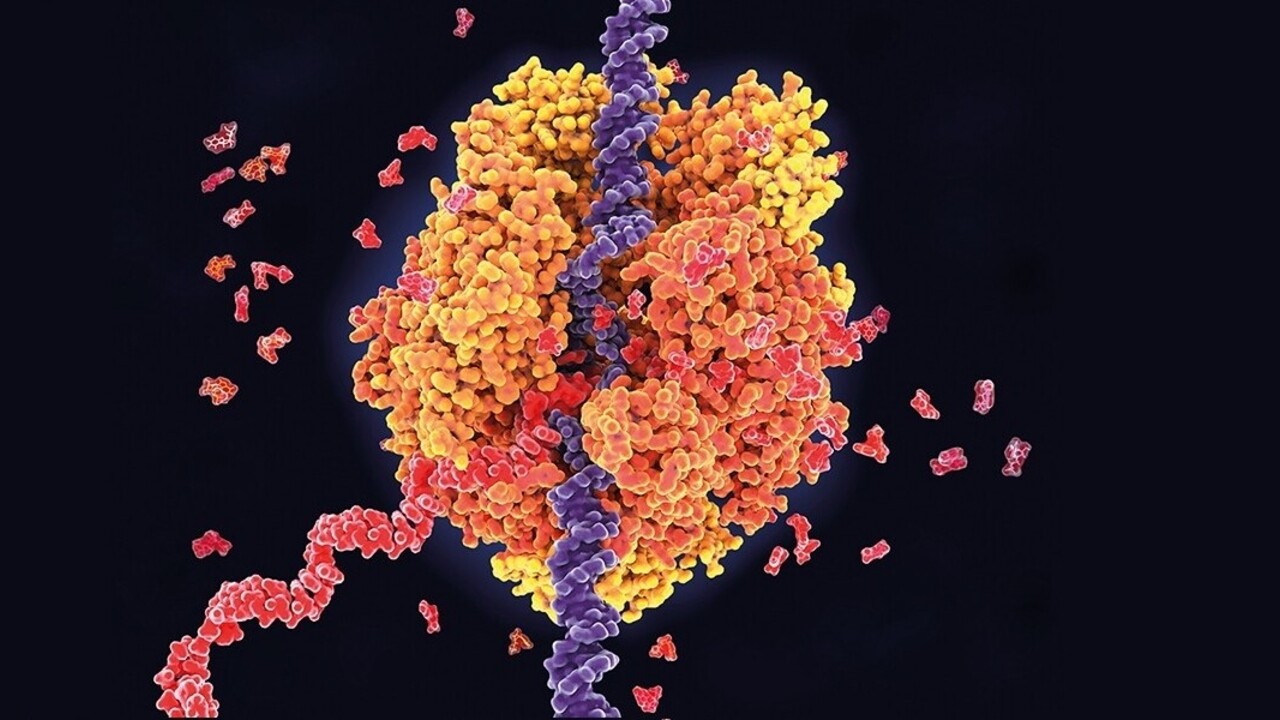 356cc0499c74e35a5a259faff3d9198b72744239