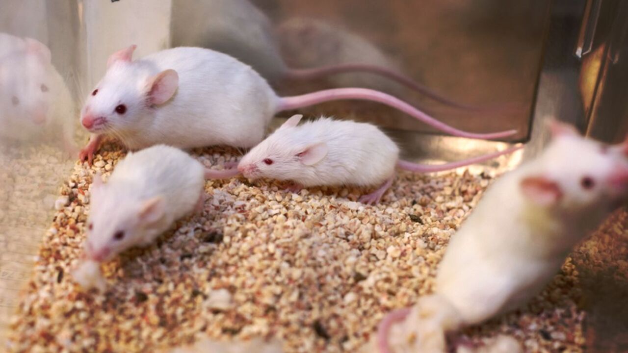 aa8fc09a61d9c73d1efa9b7d390fb649000ffee8