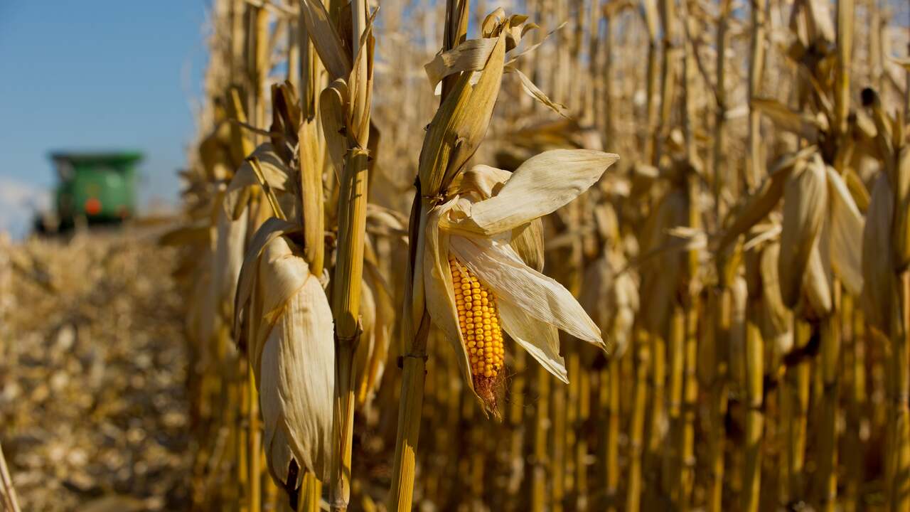 f594be26296998c7209a1d934f04ec2700878f8e