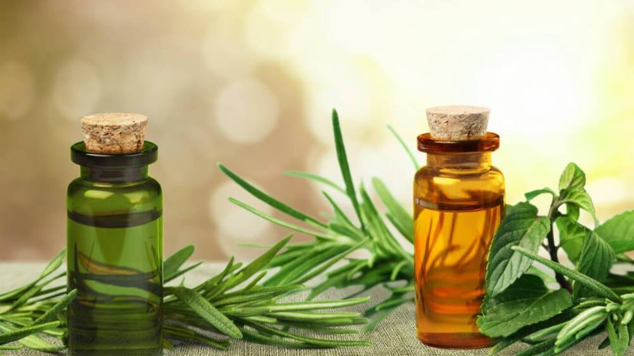 06e7cce43a94cd91e3aea216de41efde223c6f93