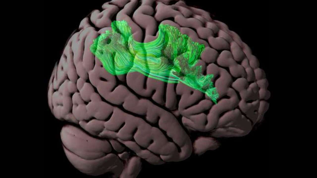 a80c903d47bbe2b720d954fc71c6dc3d34fb239a