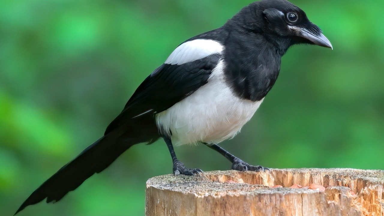 2c4053d9cb04f1439d75edd096044ed2506494f3