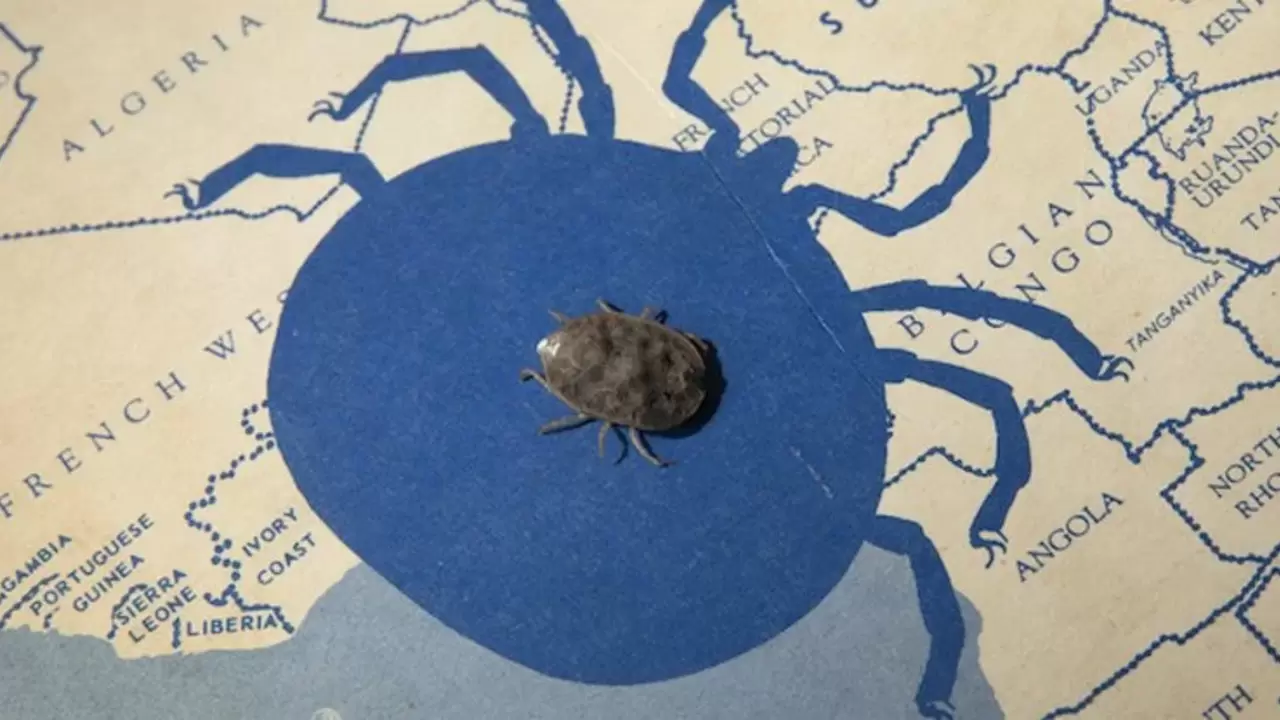 643cdc9ff017fe67885e45a2078383d2ba9a856f