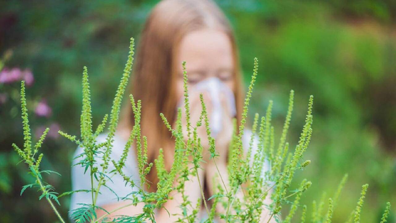 fafe2b1d1194888ed4dfa14a02b652b10ab962b2