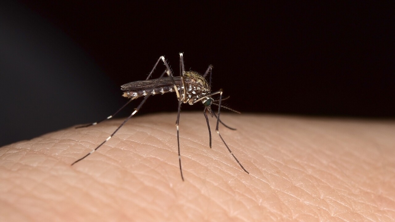 5020bc7051938dbd8b97b37dc8a94ef24721a44e