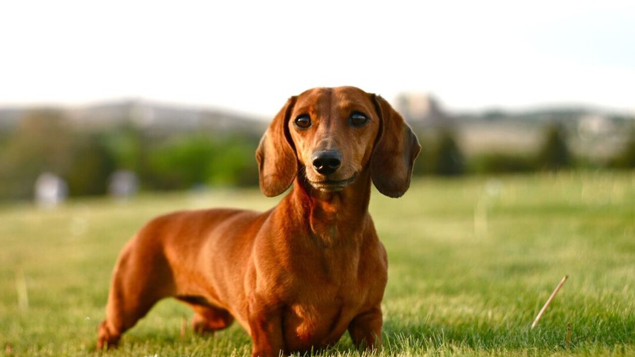 260513a897edd79ff8f6927427f3efb6fba9d0b5