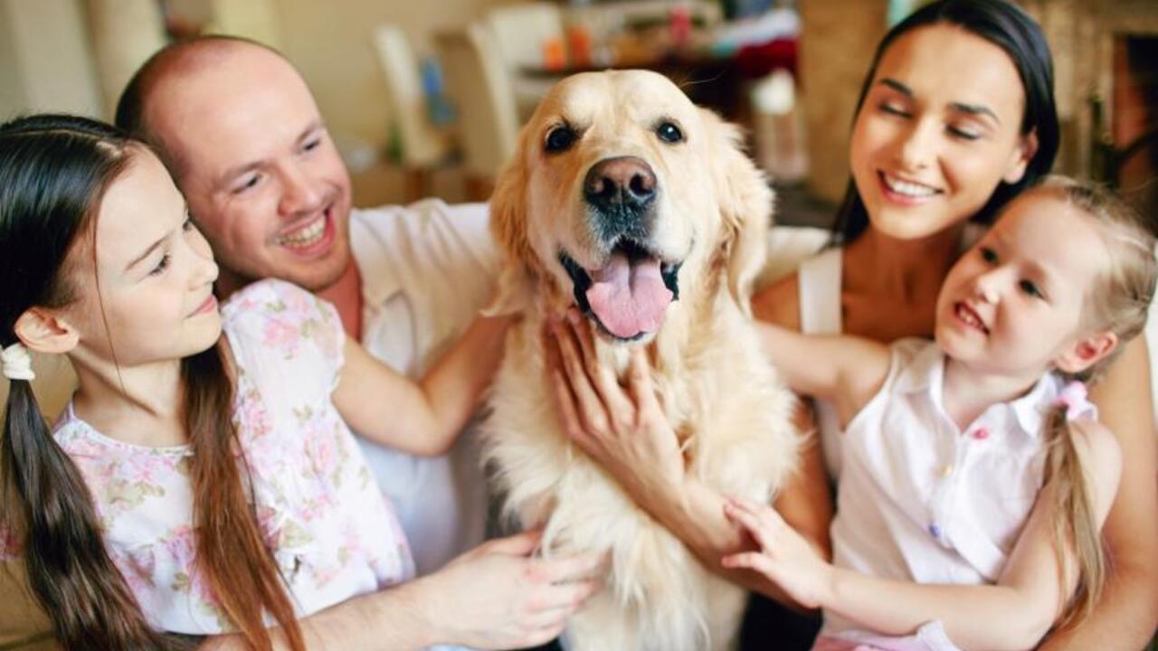 b1c5697308416a94605736190edafc0cf4af81ed