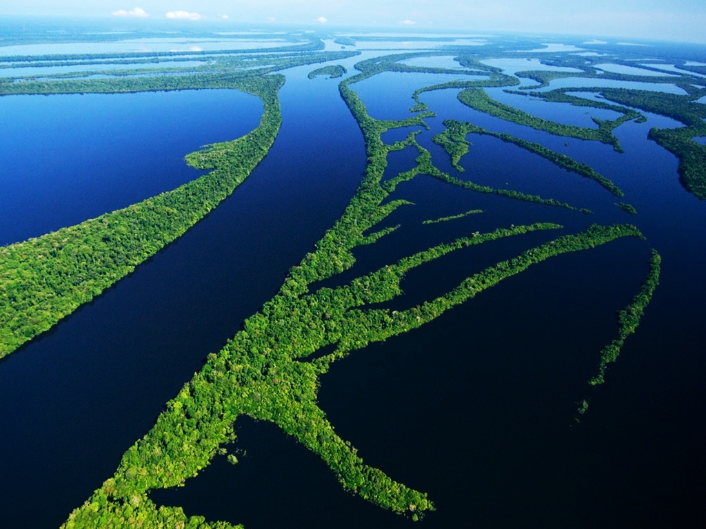 Ученые: джунгли Амазонки могут превратиться в саванну