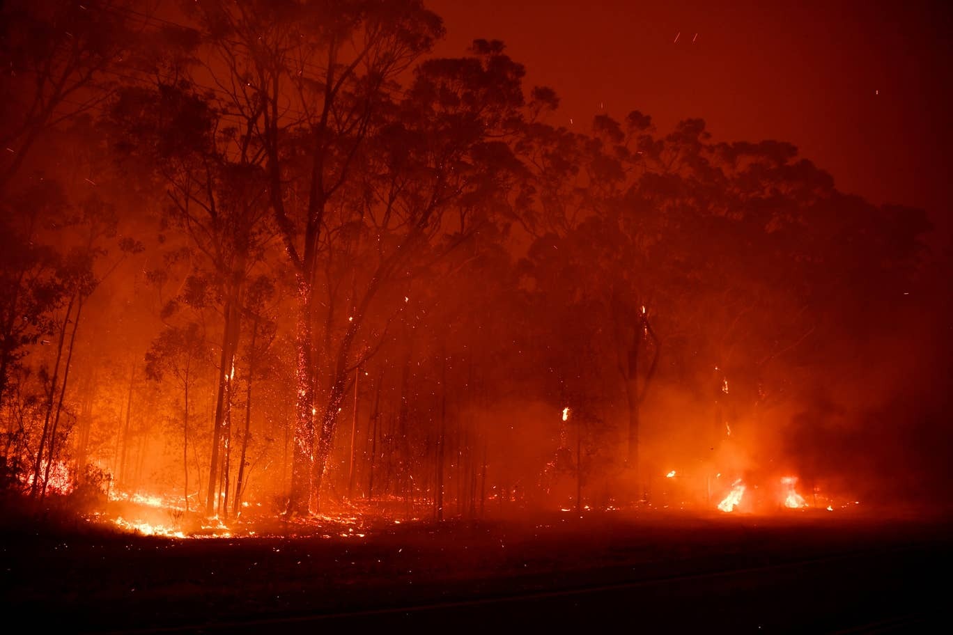 Почему лесные пожары плавно ведут Землю к катастрофе