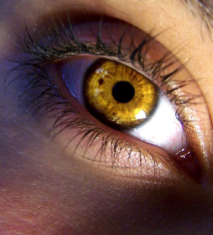 Учёные: у людей, переболевших коронавирусом, возрастет риск стать слепыми