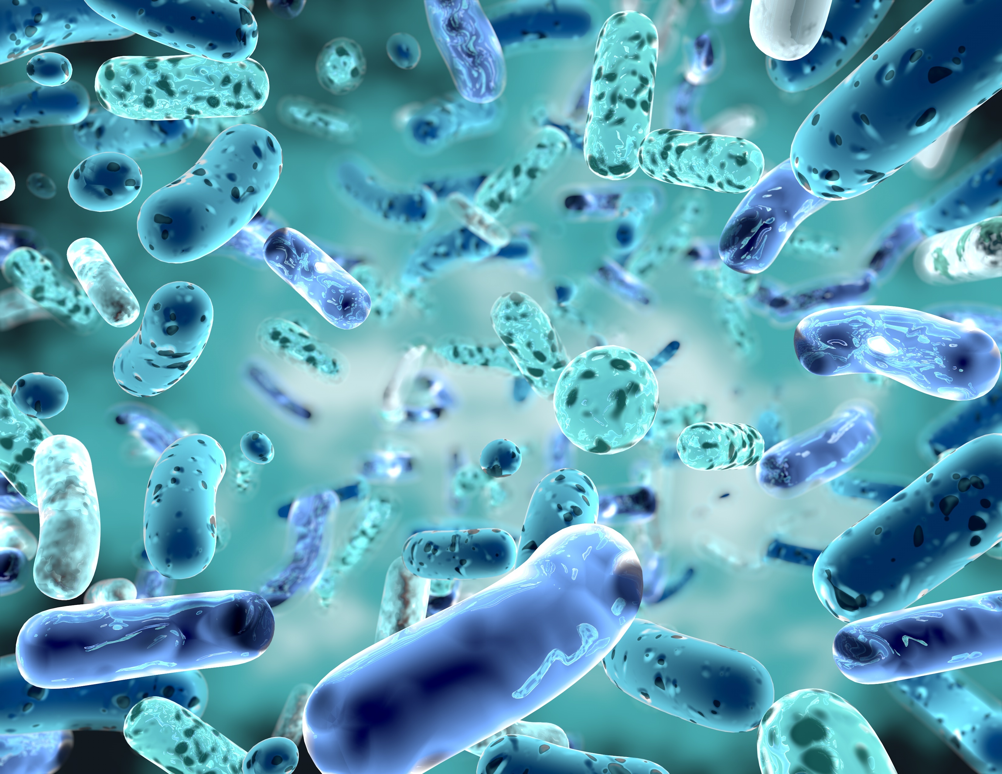 Учёные узнали, что бактерии могут издавать звуки