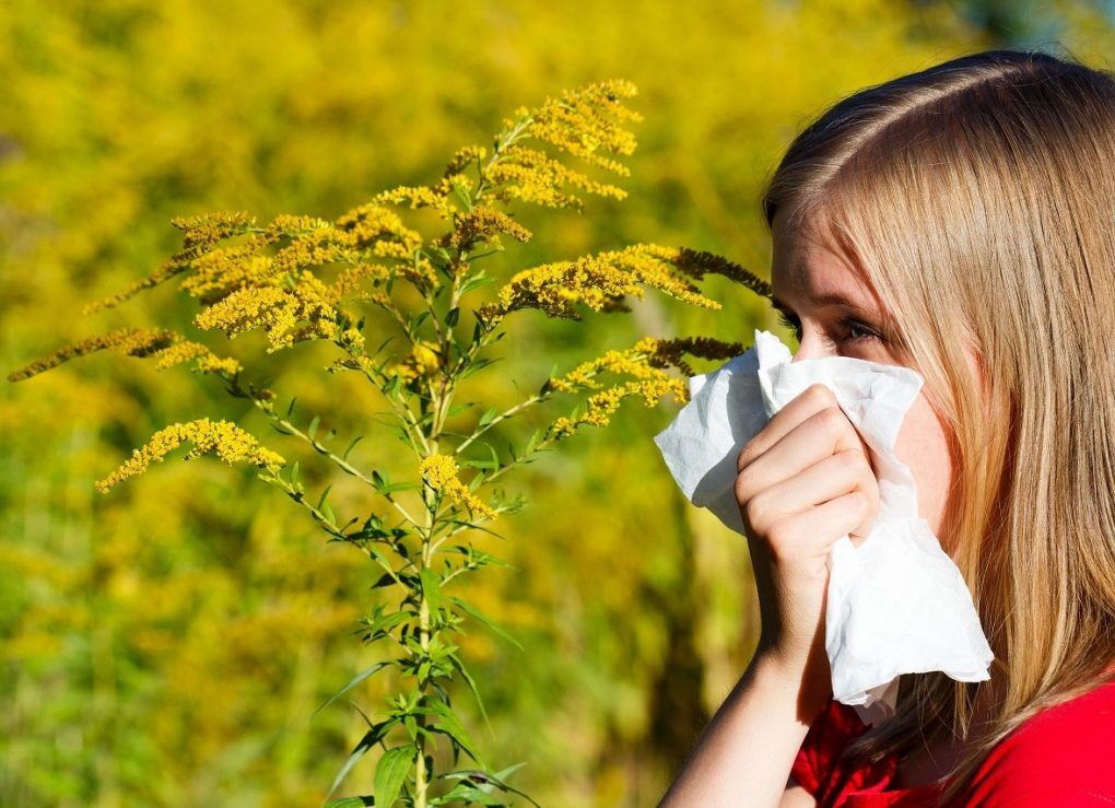Чтобы не стало хуже: от каких продуктов стоит отказаться в период сезонной аллергии