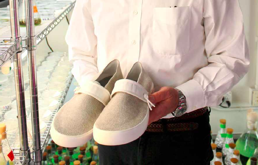 Создана первая в мире обувь из водорослей