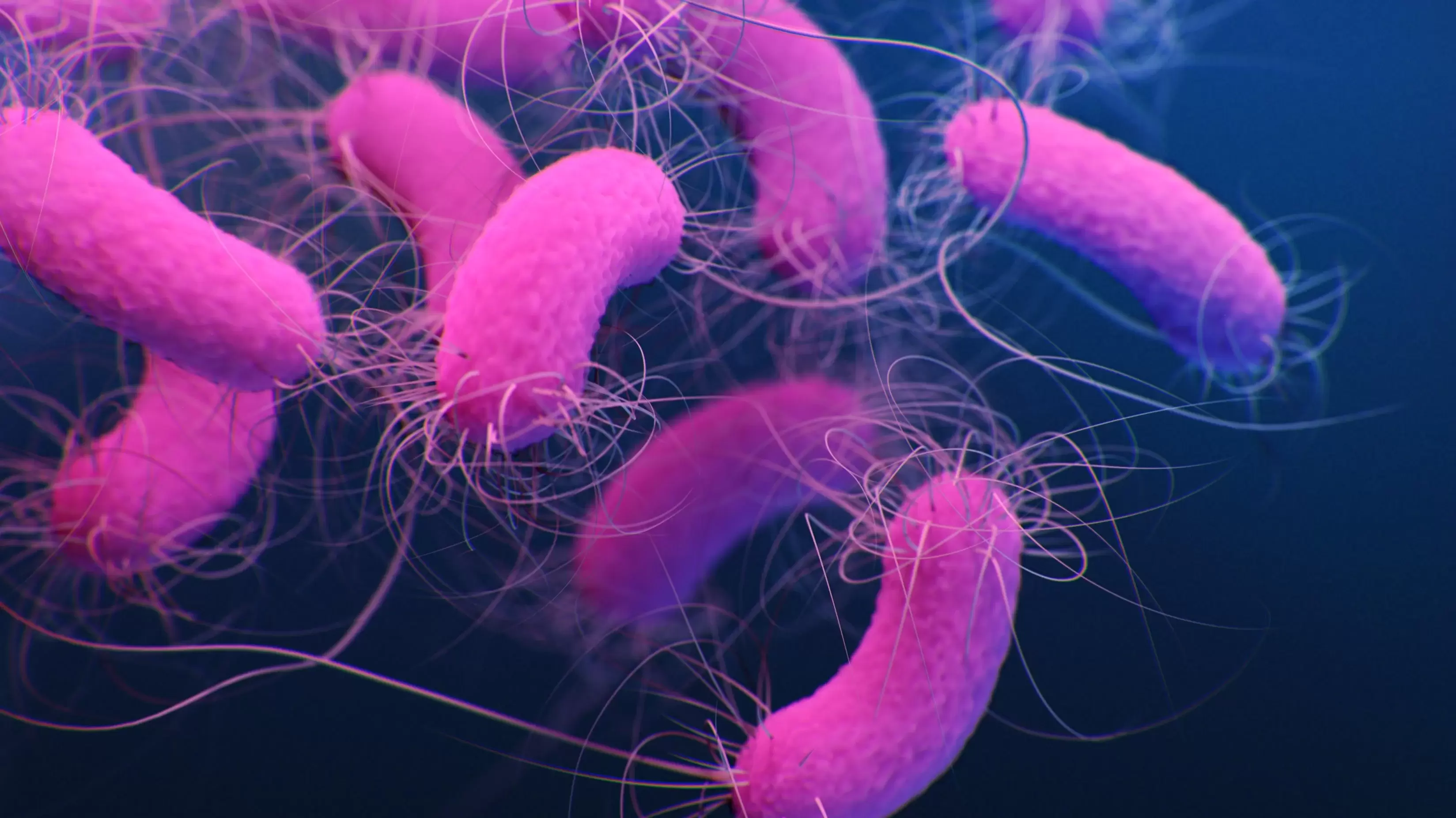 Эта бактерия вызывает у вас насморк, чтобы потом съесть ваши сопли
