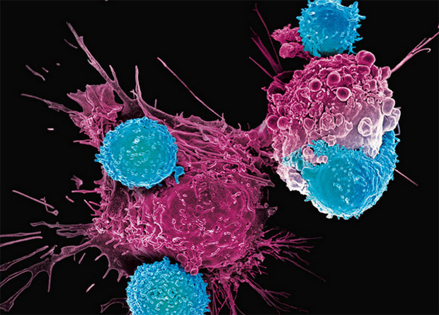 Как рак обманывает клетки нашего организма
