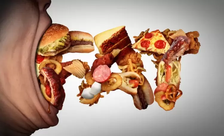 Учёные: любовь к жирной пище может привести к раку