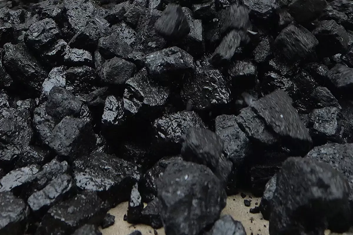 Как в природе создаётся уголь