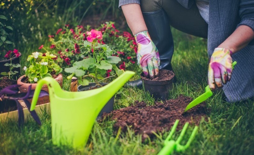 Научно доказано: садоводство улучшает психическое здоровье