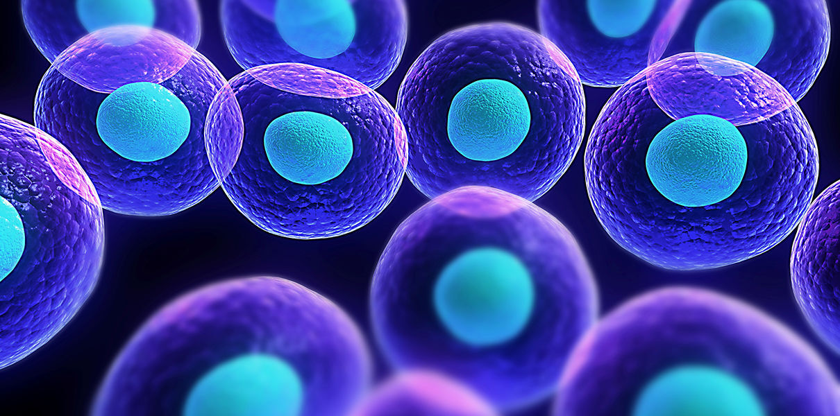 Почему борьба клеток в вашем организме идёт на пользу здоровью