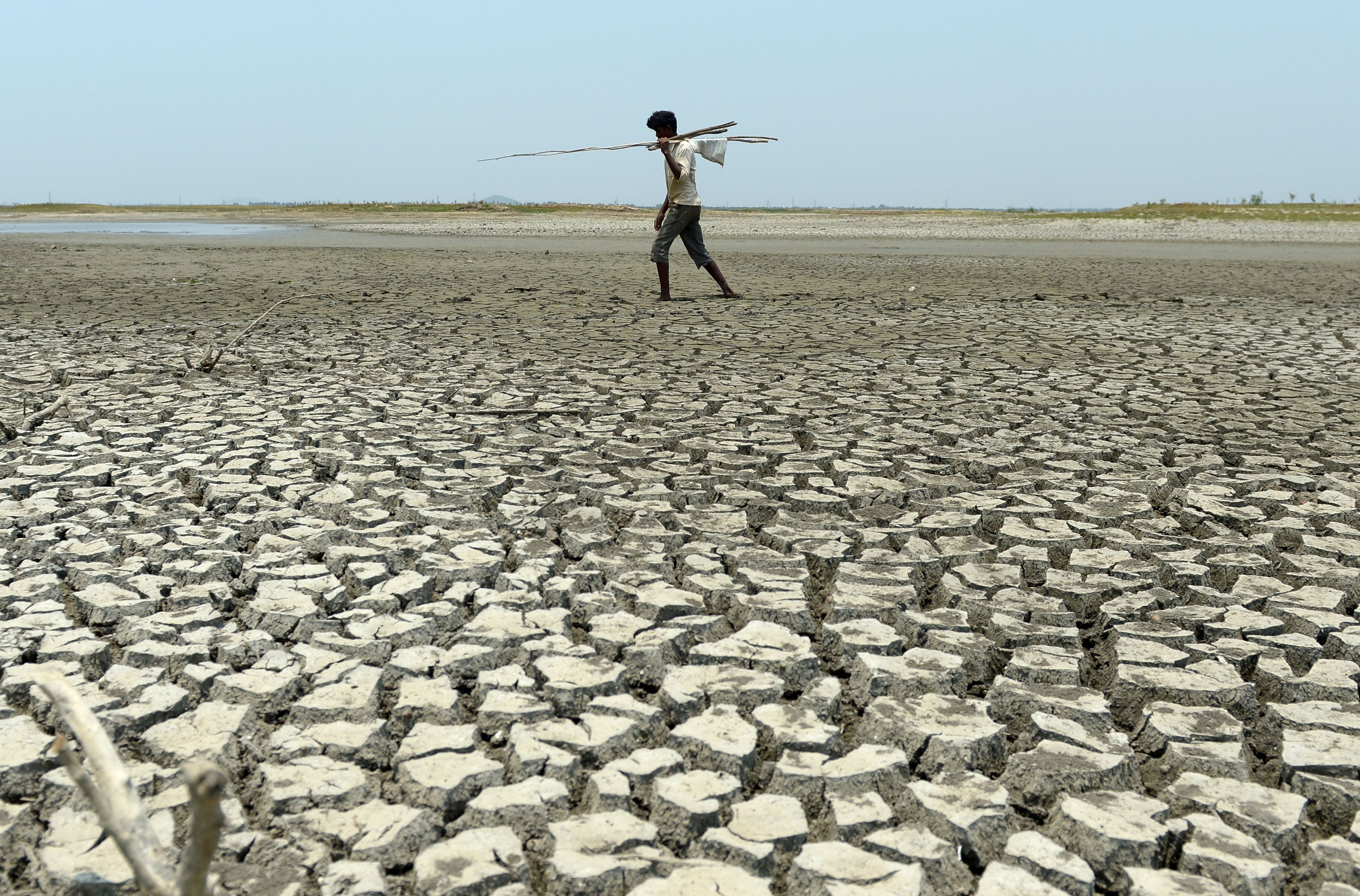 Жить на территории мужчины. Земля непригодна для жизни. Опустынивание земель. Засуха в Индии.