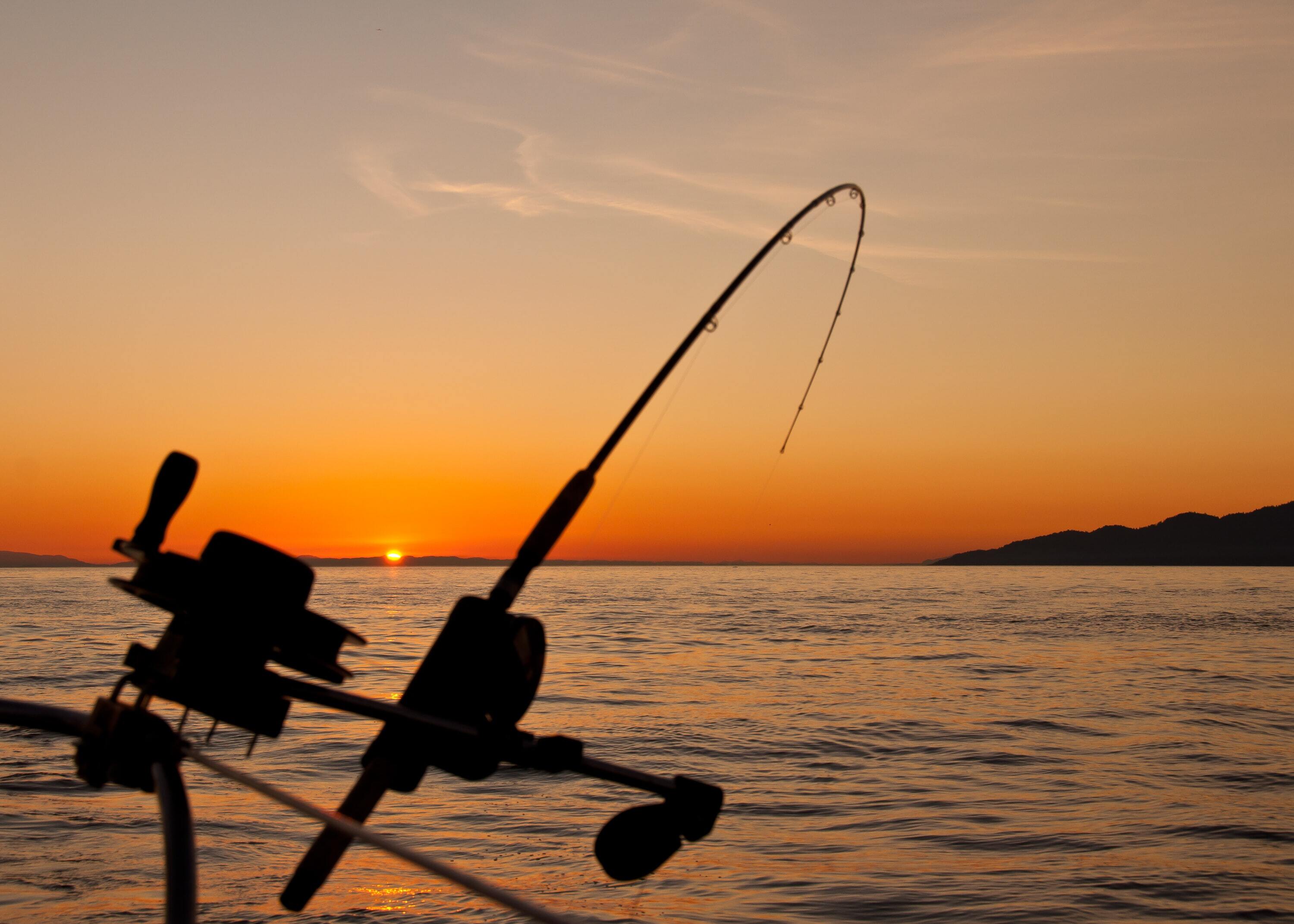 Яндекс начал подсказывать самое удачное время для рыбалки