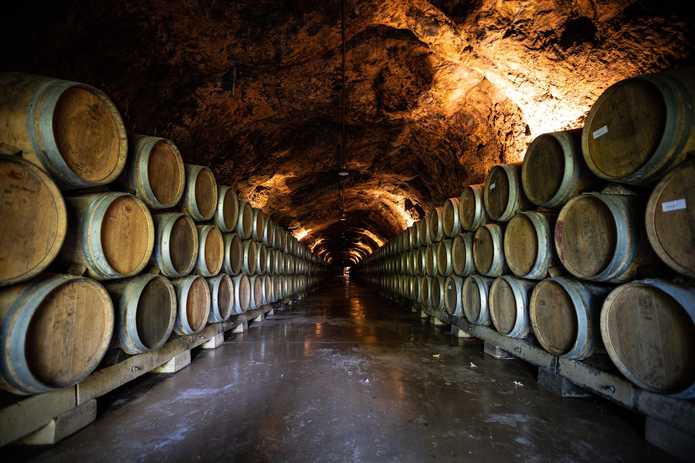 Археологи нашли вино 350 года. Его до сих пор можно пить без вреда для здоровья