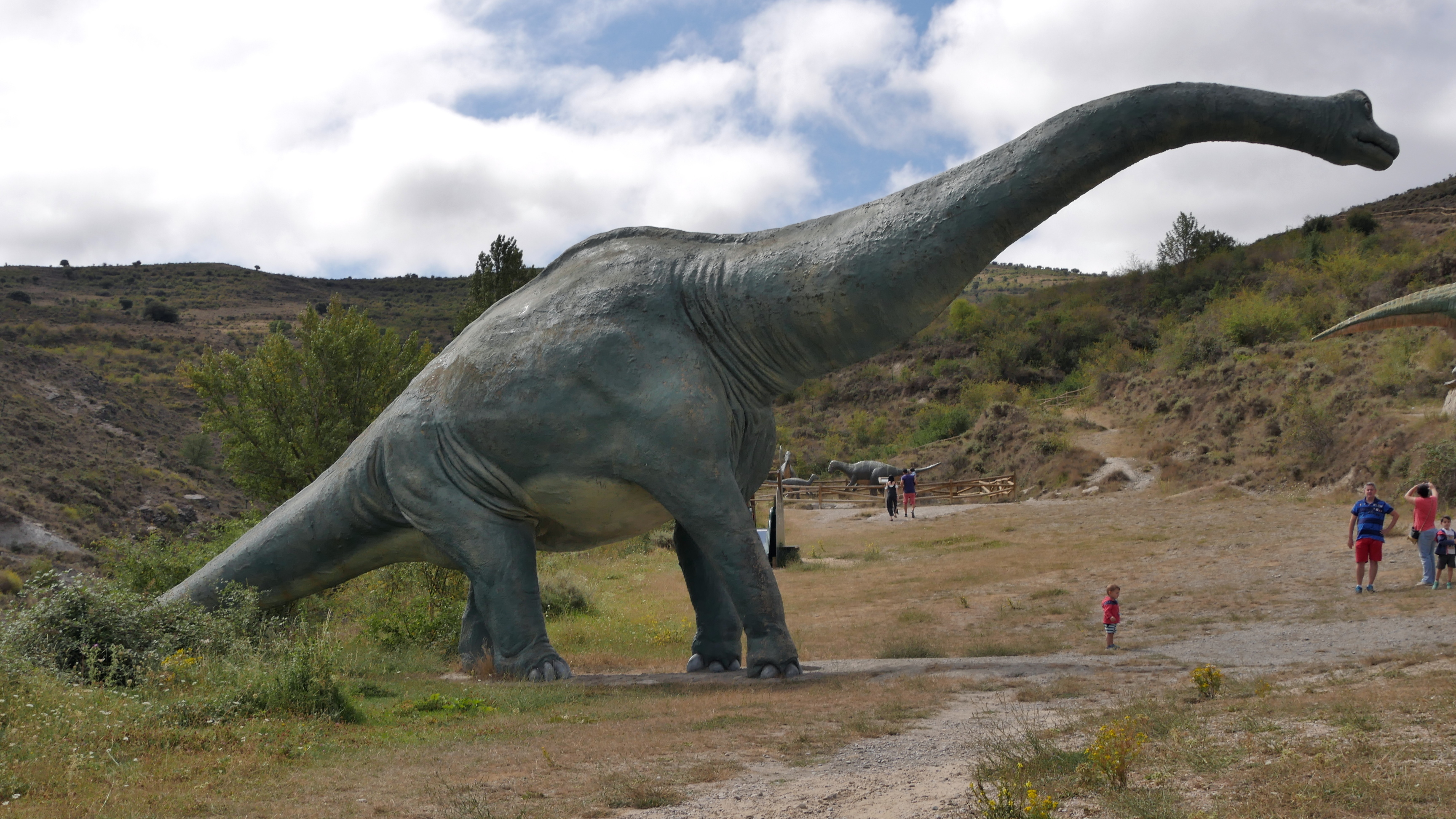 Мужчина нашёл на своём участке скелет огромного динозавра