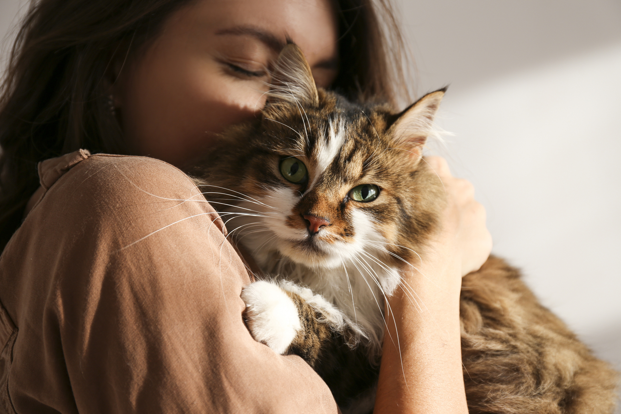 Четыре способа понять, действительно ли вас любит ваша кошка 