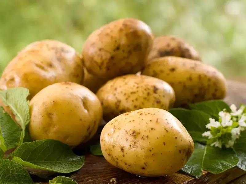 Что происходит с вашим телом при поедании картошки 