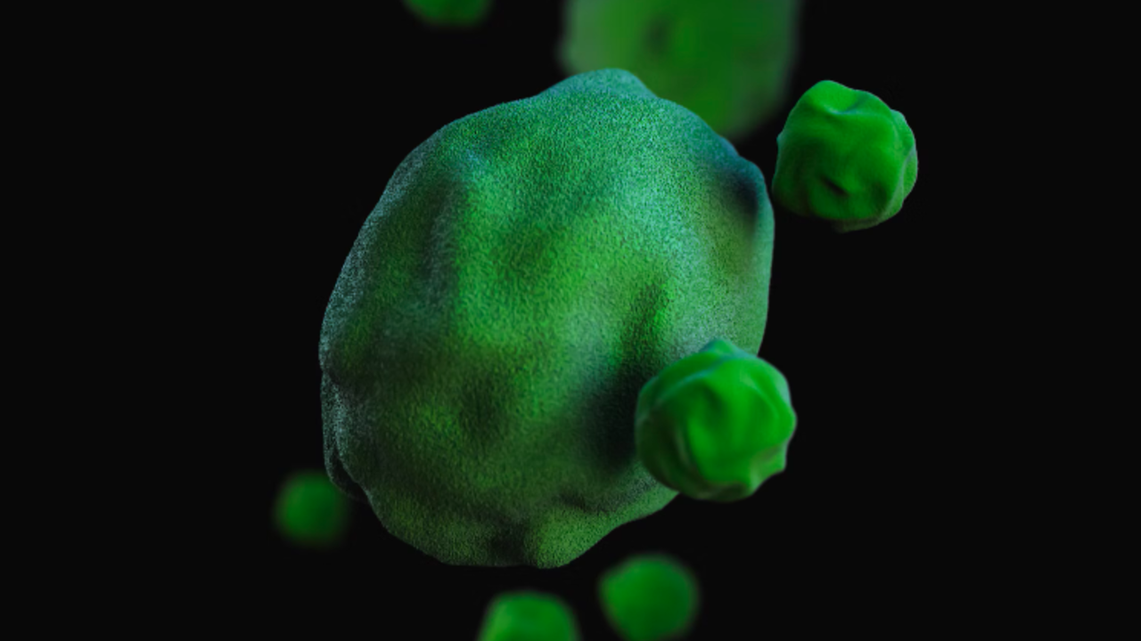 Учёные поняли, почему хламидиоз так тяжело лечится — Ferra.ru