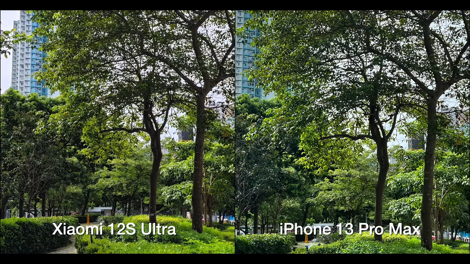 Сравнение камеры 12 и 13. Камера XR И 11 сравнение. Айфон 13 камера фото. Камера 12 и 13 айфона сравнение камер. Xiaomi 13 Pro 13 сравнение камер.