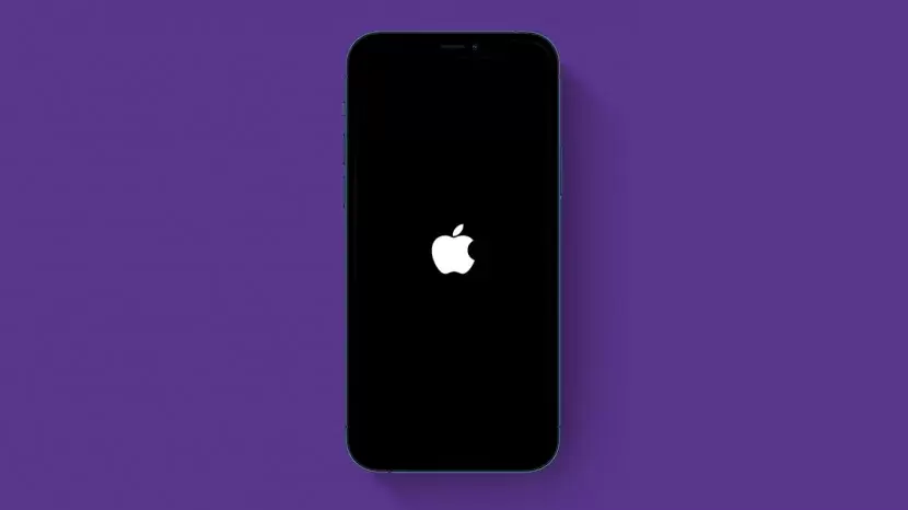 Принудительная перезагрузка: в iPhone 14 Pro и Pro Max обнаружили проблемы во время зарядки