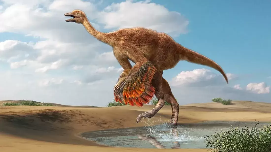 Страусоподобные динозавры оказались одними из крупнейших в мире. Как они выглядели